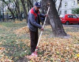 В Пензе хотят запретить уборку осенней листвы