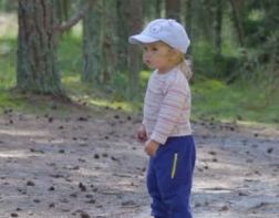 Безопасное лето: в Пензе ежедневно пропадает один ребенок