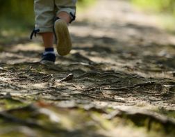 Под Пензой пропавшего 4-летнего мальчика нашли в лесу