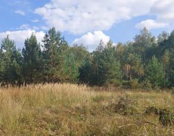 Над территорией Пензенской области сбили 10 БПЛА