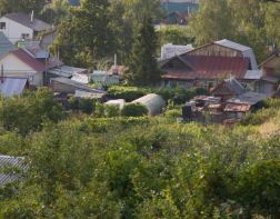 В Пензе нашли пропавшую 82-летнюю дачницу