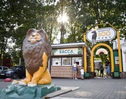 Пензенский зоопарк переходит на зимний режим