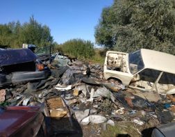 В Пензе в районе совхоза Заря обнаружена свалка бытовых отходов
