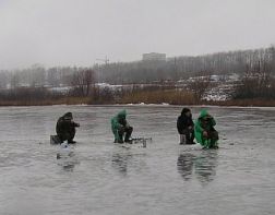 Рыбаки Пензы не боятся провалиться под лед