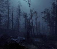 В Пензенском районе два дня искали заблудившегося грибника