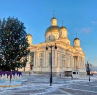 В Пензе у Спасского собора установят живую ель за 130 тысяч рублей