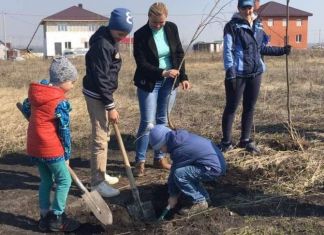 В Пензе в этом году высадили более 2200 деревьев 