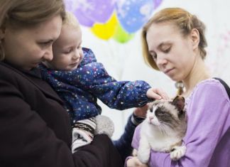  28 ноября - Всемирный день сострадания