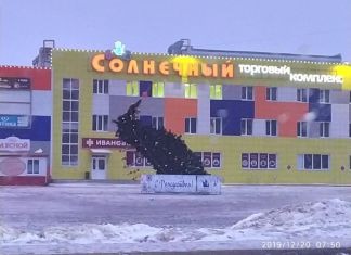 "Раз елка, два елка!" - в Пензе ураган повалил новогодние деревья