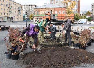 В Пензе осенью высадили более 3500 деревьев и кустарников