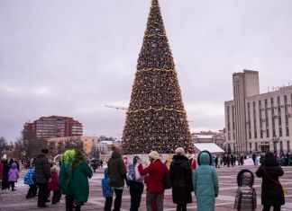 В Пензе определили площадки для установки ёлок