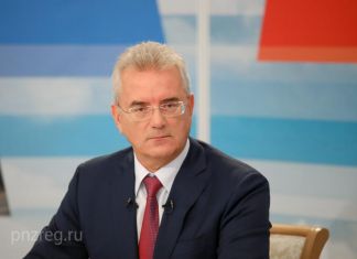 Жительница Германии попросила губернатора помочь благоустроить кладбище под Наровчатом