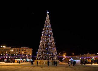 Елка в Пензе попала в топ-25 самых высоких в стране