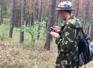 Пензенцев научат искать пропавших в лесу людей 