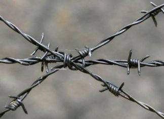 Под Пензой обнаружили тело женщины, запутанной в проволоке