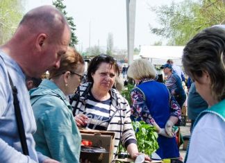 ﻿На улице Славы открылся фестиваль «Сезон уДачи» 