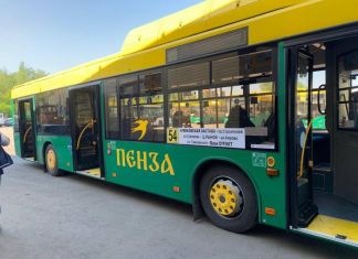 В Пензе 1 июня выйдут в рейсы 60 новых автобусов «МАЗ»