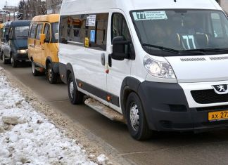 В Пензе стоимость проезда в маршрутках установят сами перевозчики