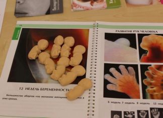 С начала года 384 жительницы области отказались от аборта