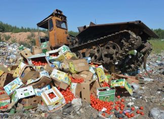 ﻿За пять лет в России уничтожены почти 1000 тонн санкционных продуктов