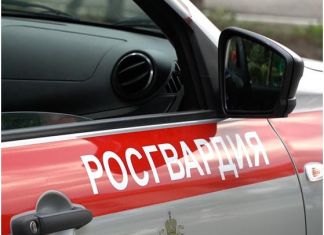 Двое пензенцев вынесли телевизор из развлекательного заведения