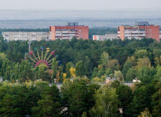 В Заречном загорелся пух в центральном парке.ВИДЕО