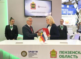 На заводе в Леонидовке будут производить целлюлозу