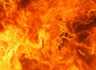 34 пожарных тушили пожар в "Дубраве"