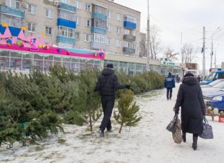 В Пензе откроются 70 елочных базаров