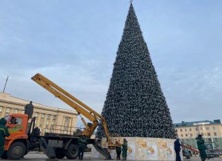 Пензенские вандалы покусились на новогодние ёлки