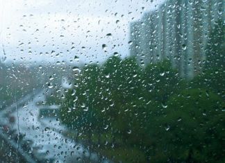 Во второй половине июня пензенцев ждет дождливая погода