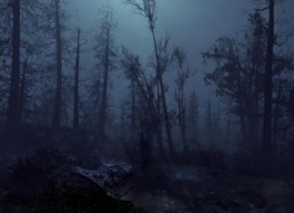 В Пензенском районе два дня искали заблудившегося грибника