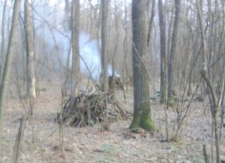 На Западной поляне опять вырубают лес