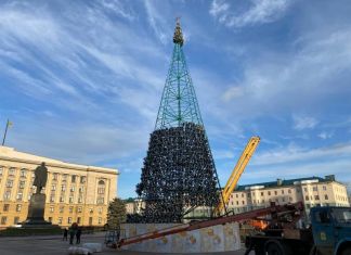 Главную ёлку Пензы начали украшать иголками 