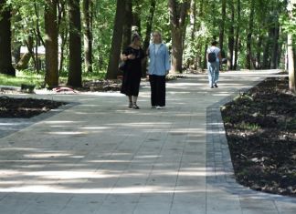 В Пензе благоустраивают аллеи парка имени Белинского