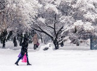 Пензенцам сообщили, что зима будет мягкой и снежной