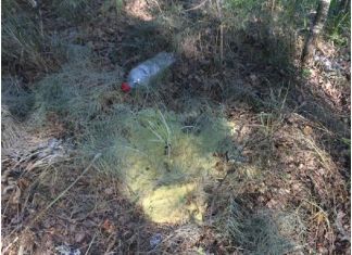 В Пензе ликвидировали неизвестное вещество желтого цвета