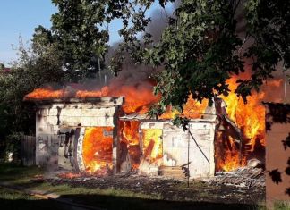 Во время пожара в пензенском сарае сгорела собака с щенками
