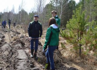 Пензенцев приглашают посадить деревья