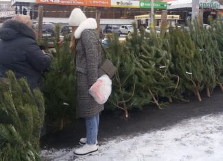 В Пензе цена новогодней елки может подняться до 2 тысяч рублей