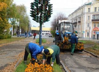 В Пензе решили сохранить арт-объект «Светофорное дерево»