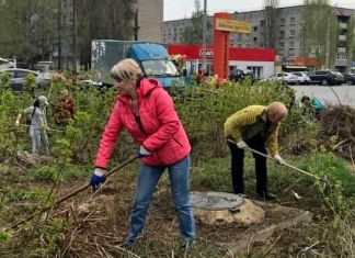 12 октября в Пензенской области пройдет региональный субботник﻿