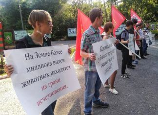 В Пензе прошел пикет в защиту животных