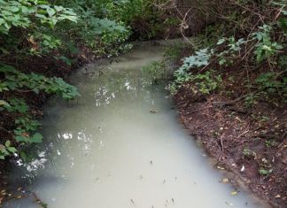 Из молочной реки в Чемодановке взяли пробы воды 