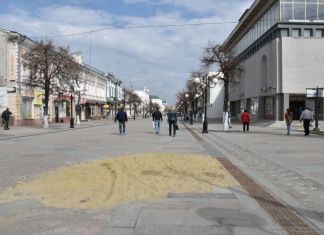 Еще один ТЦ в центре Пензы хочет расшить свои границы