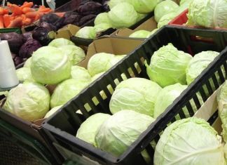 В Пензе из продажи изъято около 1,5 тонн опасных овощей 