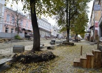 Липы на Московской могут не выжить ﻿
