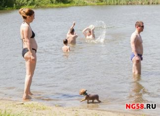 ﻿Вход для пензенцев на пляж в Спутнике станет платным