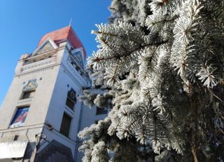 В Пензе откроется выставка советского художника Сергея Герасимова