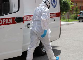 В Пензу на лечение поступили 9 пациентов с мышиной лихорадкой